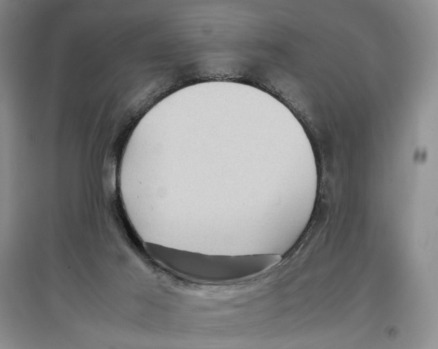 X0000096670021200802261503