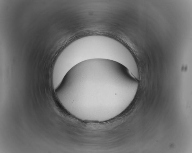 X0000096670022200802261503