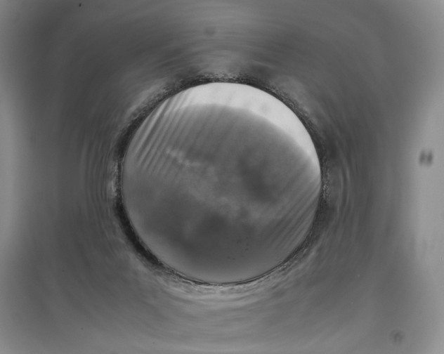 X0000096670023200802261503