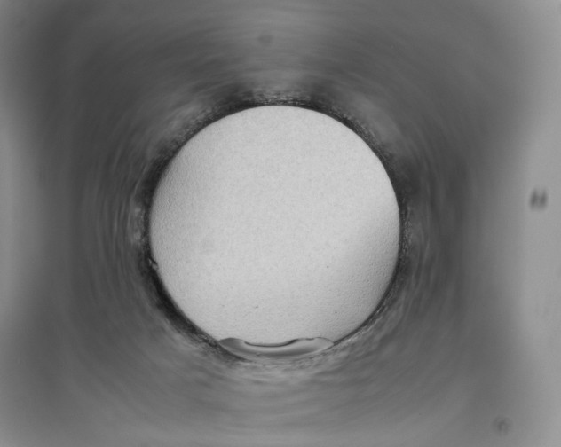 X0000096670025200802261503