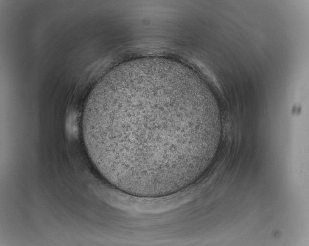 X0000096670026200802261503