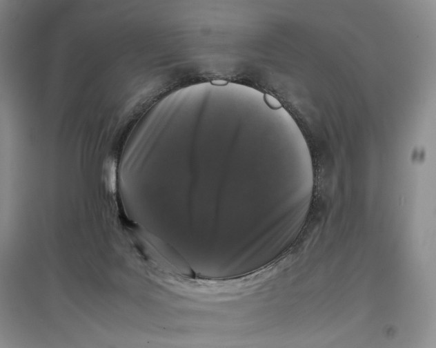 X0000096670027200802261503