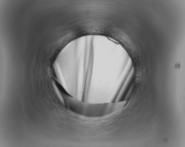 X0000096670029200802261503