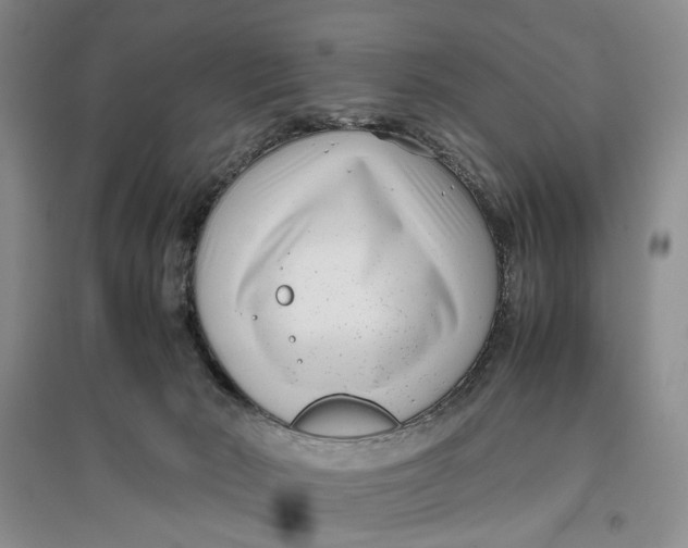 X0000096670030200802261503