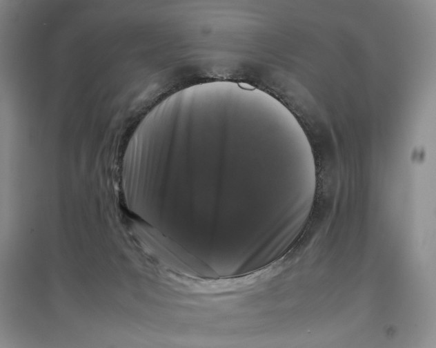 X0000096670031200802261503