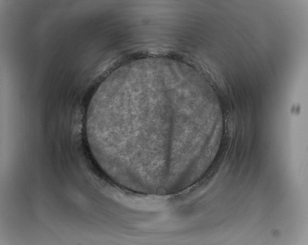X0000096670032200802261503