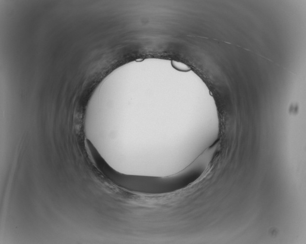X0000096670033200802261503