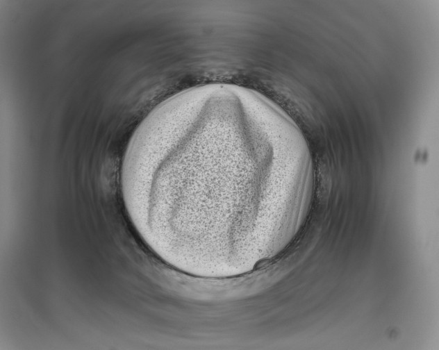 X0000096670034200802261503