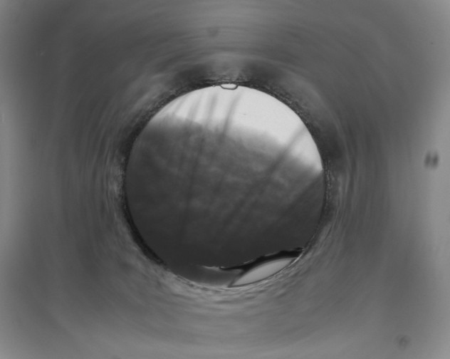 X0000096670035200802261503