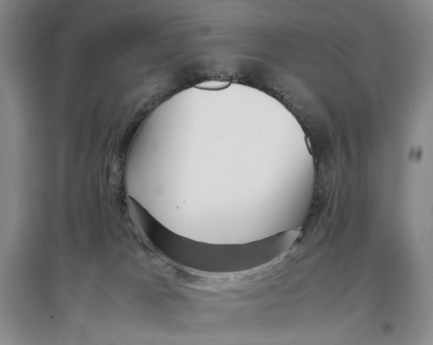 X0000096670037200802261503