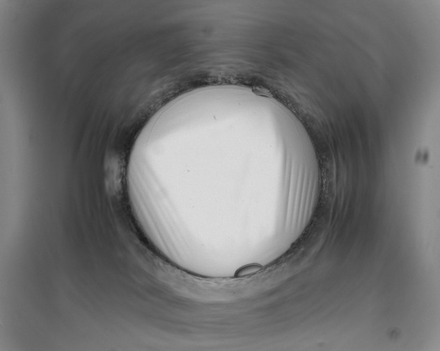X0000096670038200802261503