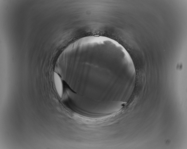 X0000096670039200802261503