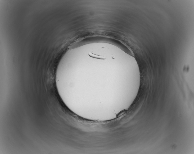 X0000096670040200802261503