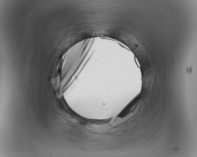 X0000096670041200802261503
