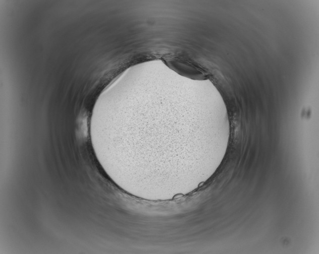 X0000096670042200802261503