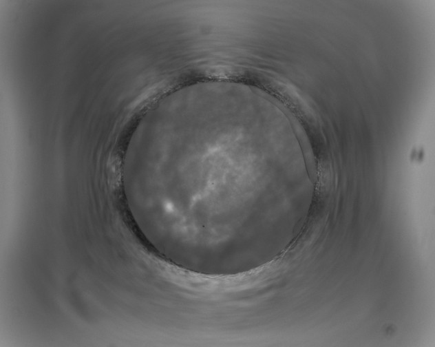 X0000096670043200802261503