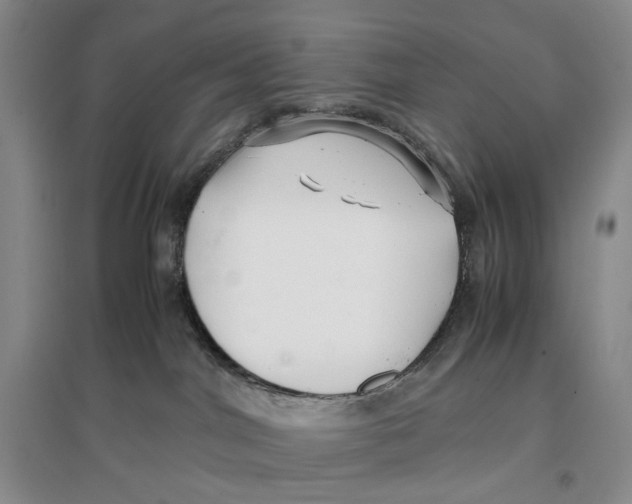 X0000096670044200802261503