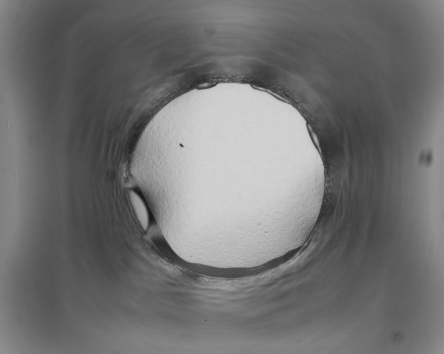 X0000096670045200802261503