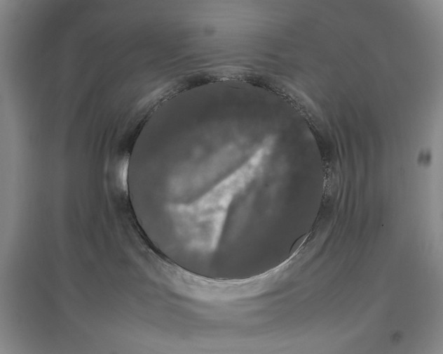 X0000096670047200802261502