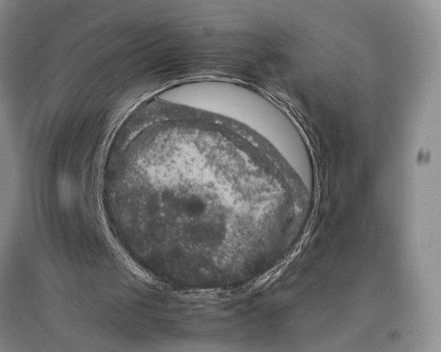 X0000096670049200802261502