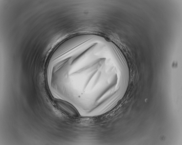 X0000096670050200802261502