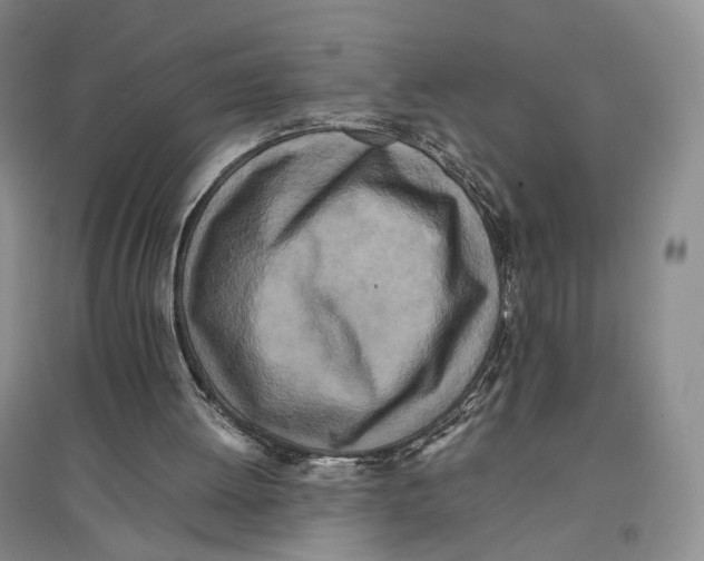 X0000096670052200802261502