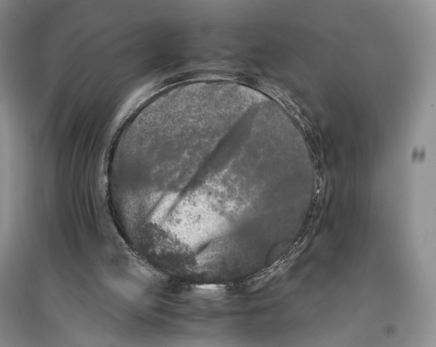 X0000096670053200802261502