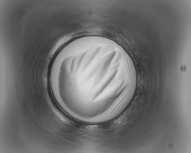 X0000096670054200802261502