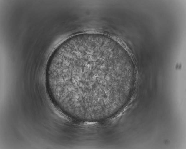 X0000096670055200802261502