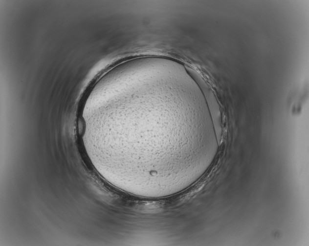 X0000096670056200802261502