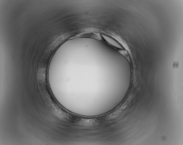 X0000096670057200802261502