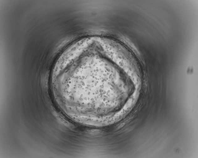 X0000096670058200802261502