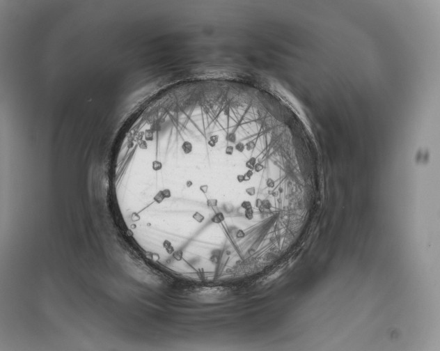 X0000096670059200802261502
