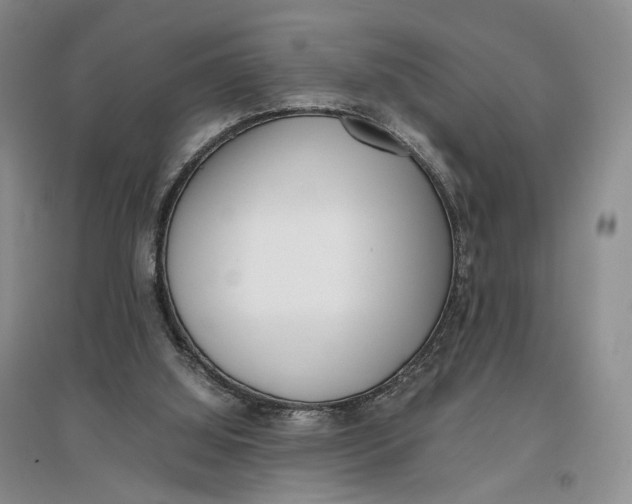 X0000096670060200802261502