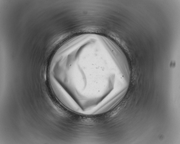 X0000096670062200802261502