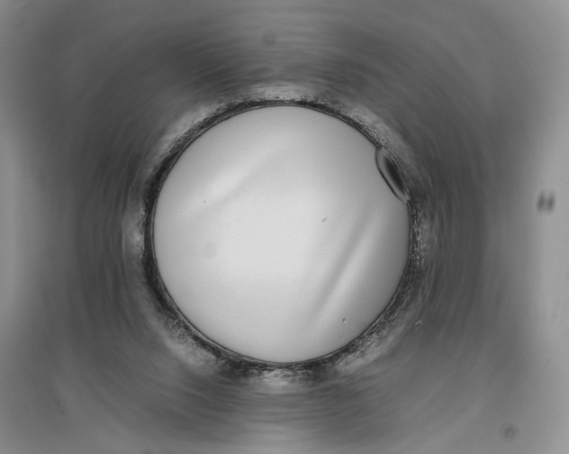 X0000096670064200802261502