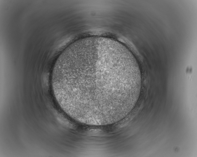 X0000096670066200802261502