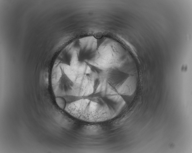 X0000096670067200802261502