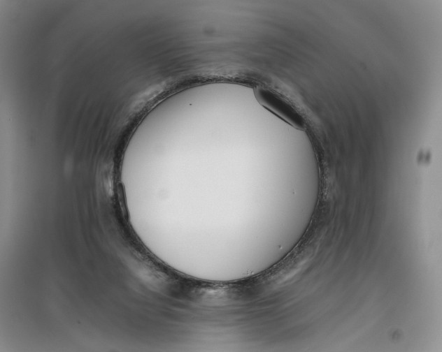 X0000096670068200802261502