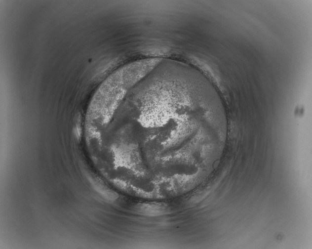 X0000096670069200802261502