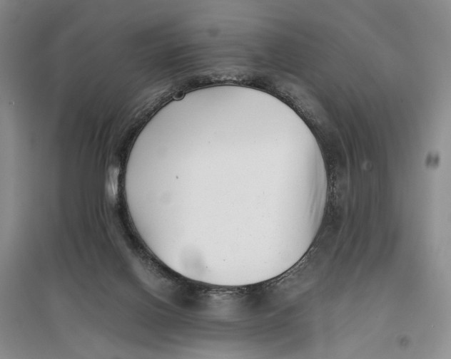 X0000096670070200802261502