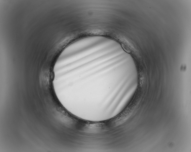 X0000096670072200802261502