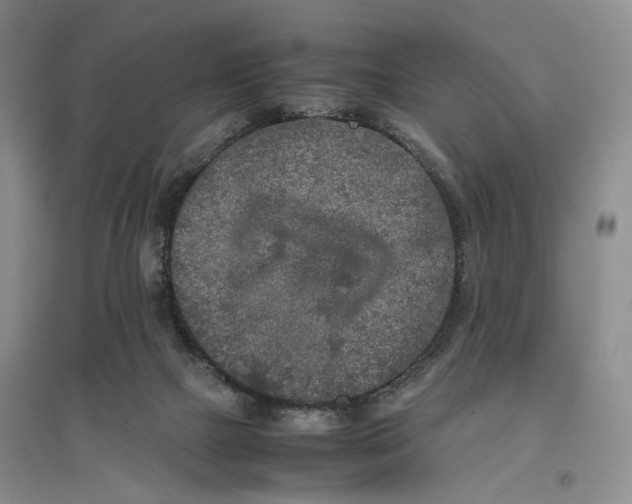 X0000096670073200802261502