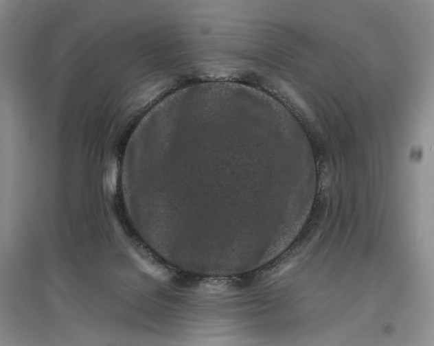 X0000096670076200802261502