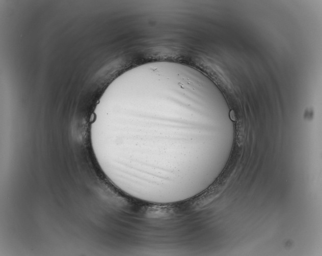 X0000096670077200802261502
