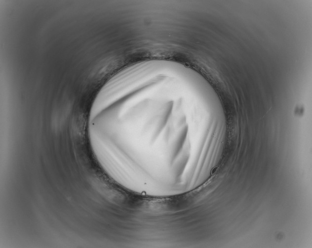 X0000096670078200802261502