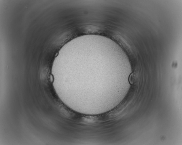 X0000096670079200802261502