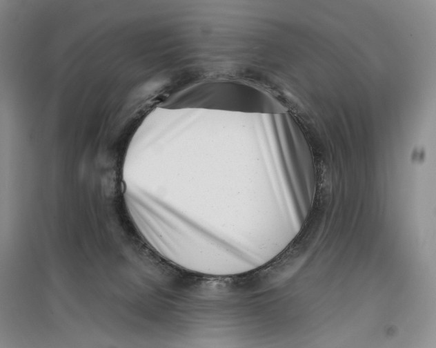 X0000096670080200802261502