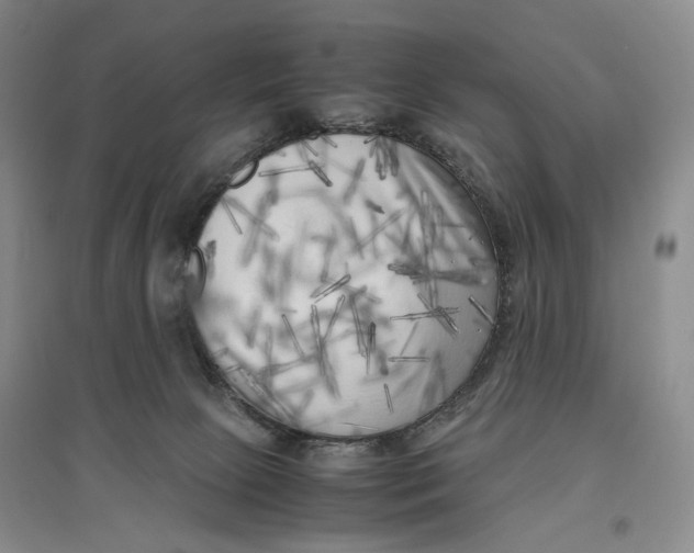 X0000096670081200802261502