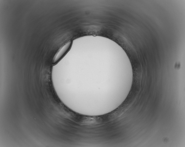X0000096670083200802261502